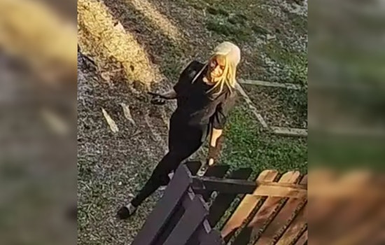 Atlanta Police Release Video of Suspect Accused of Snatching King Charles Poodle Mix