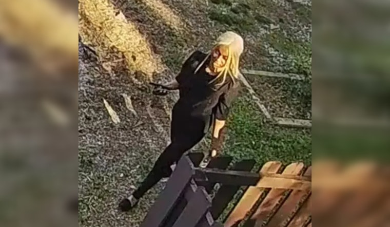Atlanta Police Release Video of Suspect Accused of Snatching King Charles Poodle Mix
