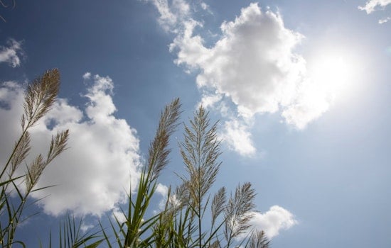Atlanta's Weekend Weather Forecast: Mixed Sunshine and Rising Chance of Thunderstorms