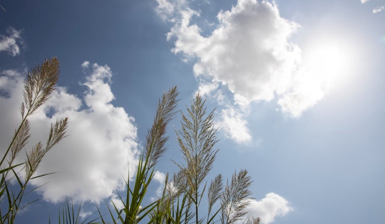 Atlanta's Weekend Weather Forecast: Mixed Sunshine and Rising Chance of Thunderstorms
