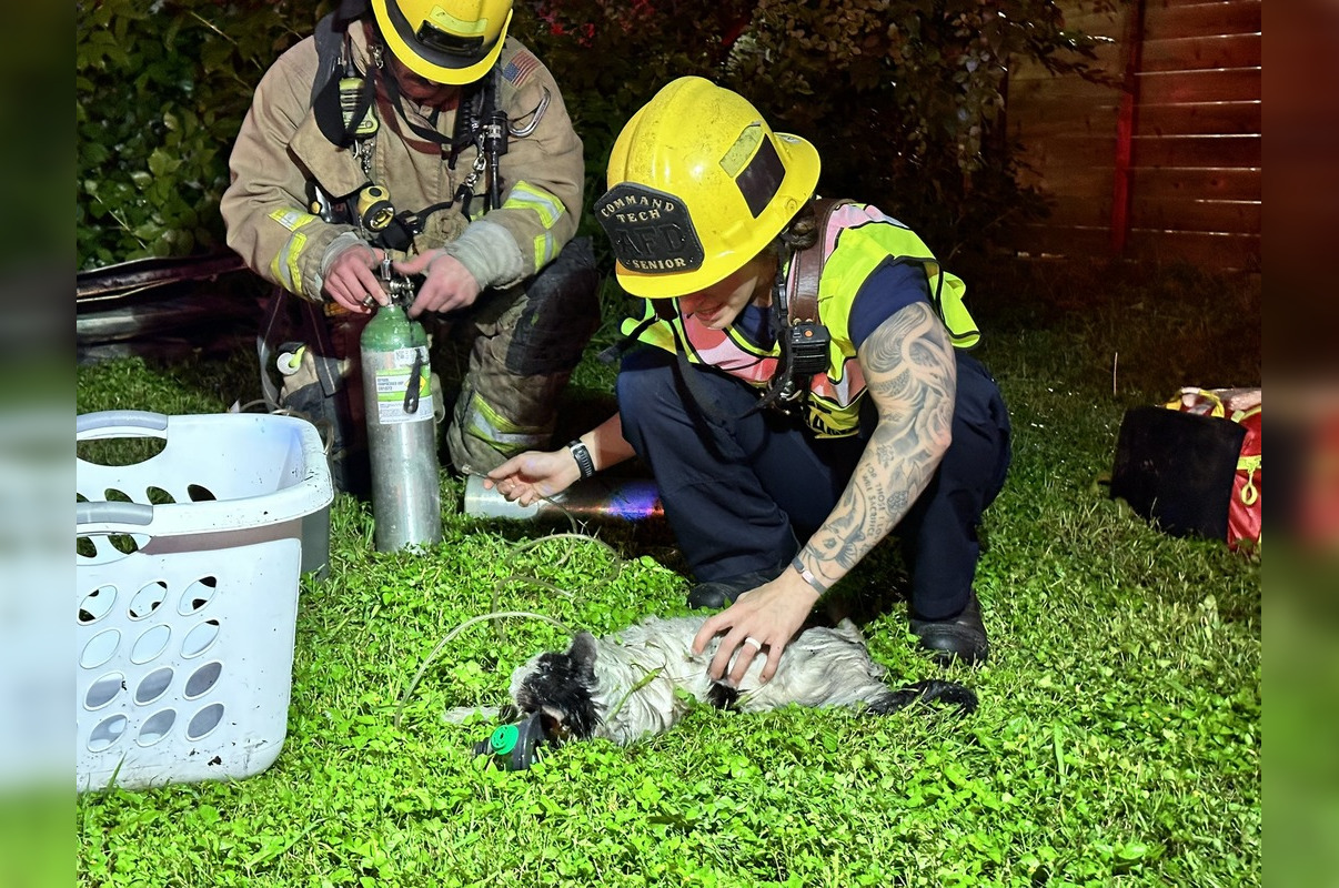 Austin Fire Department Rescues Individual and 3 Cats from East Austin