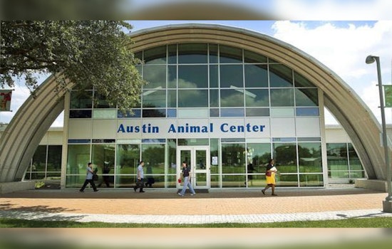 Austin Residents Protest for Leadership Change at Animal Center, Citing Strayed No-Kill Commitment