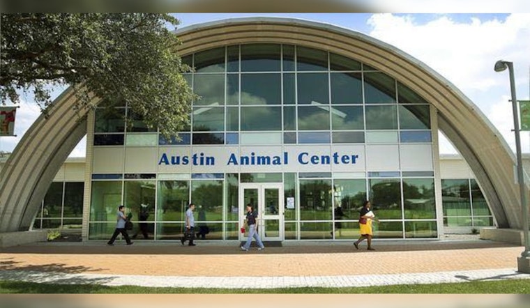 Austin Residents Protest for Leadership Change at Animal Center, Citing Strayed No-Kill Commitment