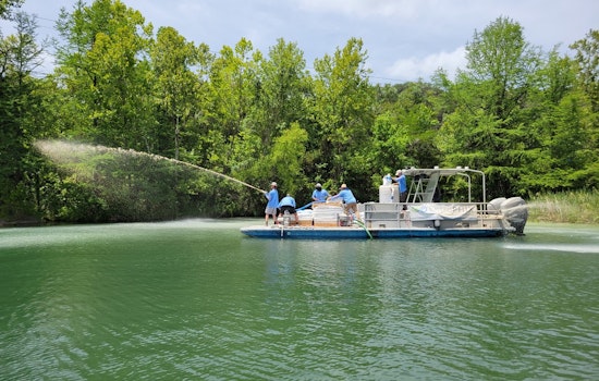 Austin Wages War on Algae with Lanthanum-Modified Clay in Lady Bird Lake Clean-Up Effort