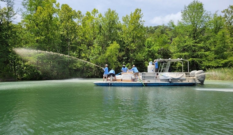Austin Wages War on Algae with Lanthanum-Modified Clay in Lady Bird Lake Clean-Up Effort