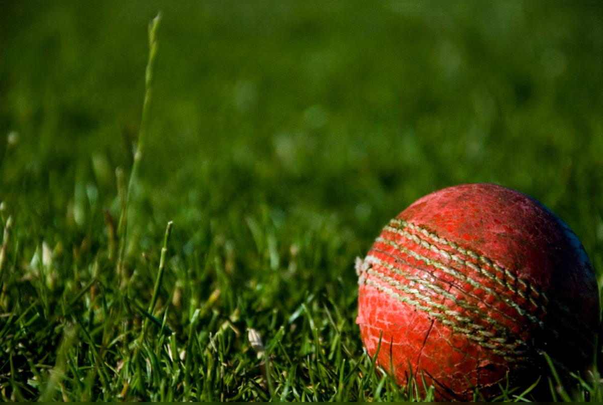 Bangladesh Cricket Team's Houston Arrival Sparks Excitement Among Local Bangladeshi Community