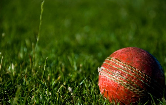 Bangladesh Cricket Team's Houston Arrival Sparks Excitement Among Local Bangladeshi Community
