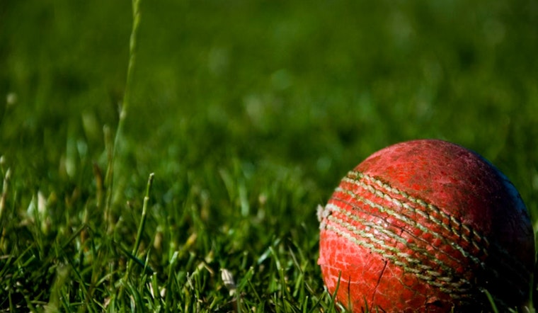 Bangladesh Cricket Team's Houston Arrival Sparks Excitement Among Local Bangladeshi Community