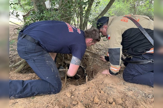 Bastrop Emergency Crews Heroically Rescue Dog Entrapped Underneath Tree Roots