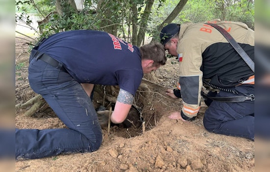 Bastrop Emergency Crews Heroically Rescue Dog Entrapped Underneath Tree Roots
