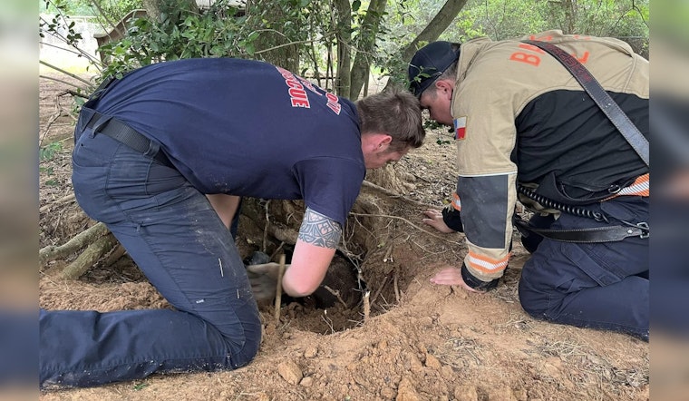 Bastrop Emergency Crews Heroically Rescue Dog Entrapped Underneath Tree Roots