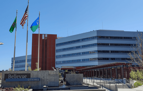 Bellevue City Council Enhances Inclusivity in Procurement to Boost Small, Diverse Businesses