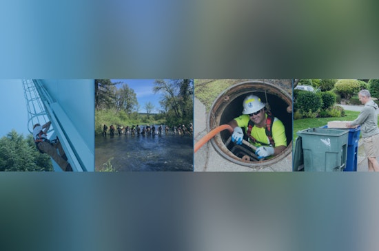 Bellevue Seeks Public Input on 20-Year Watershed Management Plan for Local Waterways