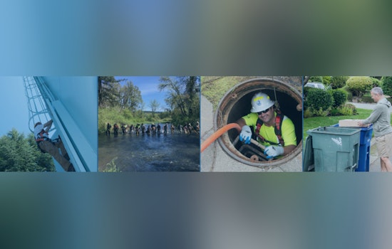 Bellevue Seeks Public Input on 20-Year Watershed Management Plan for Local Waterways