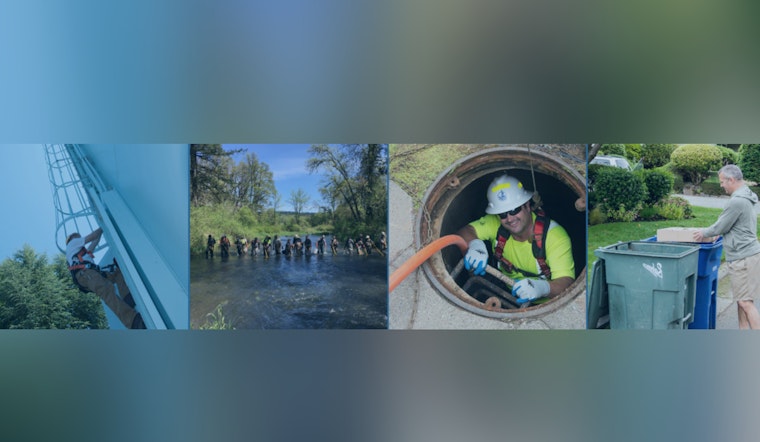 Bellevue Seeks Public Input on 20-Year Watershed Management Plan for Local Waterways