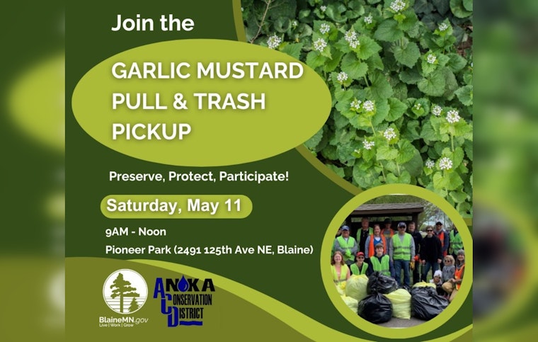 Blaine Residents Invited to Combat Invasive Species at Pioneer Park Cleanup Event