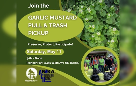 Blaine Residents Invited to Combat Invasive Species at Pioneer Park Cleanup Event