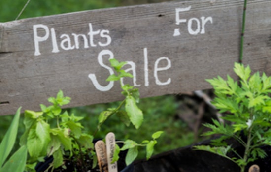 Blaine’s Soil and Sunshine Garden Club Hosts Annual Plant Sale to Fund Scholarship