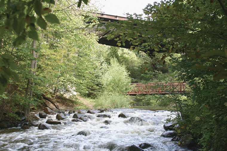 Bloomington to Celebrate Nine Mile Creek Restoration with Community Event at Moir Park