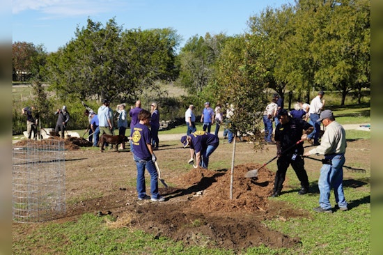 Boerne Honored as Tree City USA for 13th Year, Celebrates Commitment to Urban Forestry