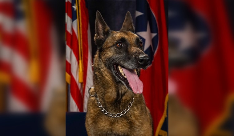 Brentwood Police Department Remembers Retired K9 Lexie After a Decade of Dedicated Service