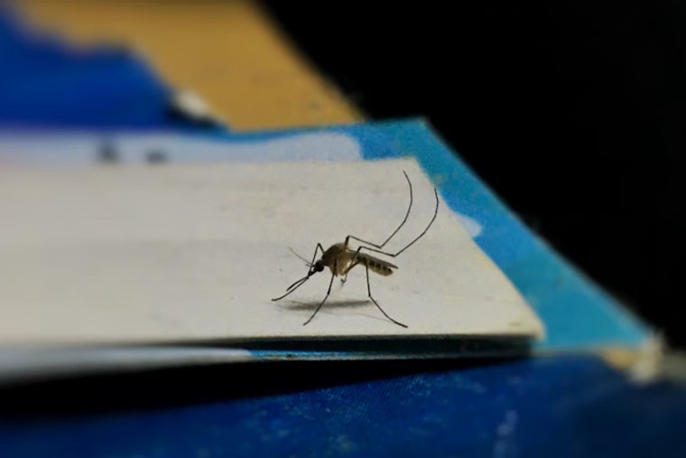 Broward County Declares War on Mosquitoes With VectoBac Spraying Campaign in Fort Lauderdale