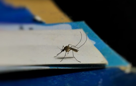 Broward County Declares War on Mosquitoes With VectoBac Spraying Campaign in Fort Lauderdale