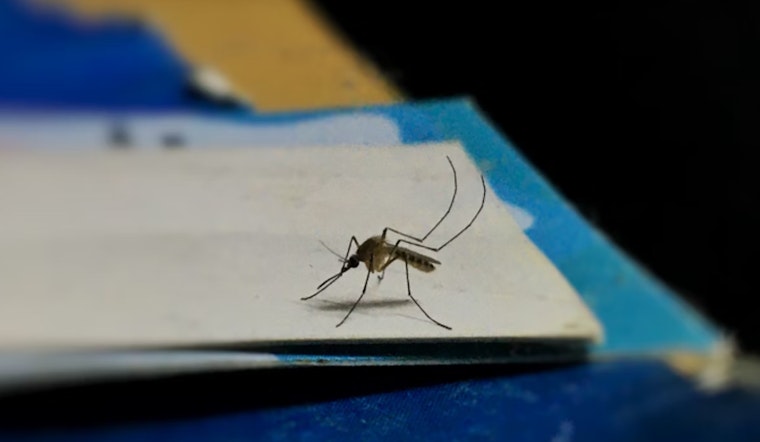 Broward County Declares War on Mosquitoes With VectoBac Spraying Campaign in Fort Lauderdale