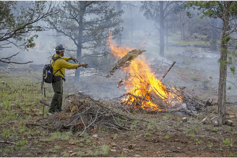 CAL FIRE Enforces Outdoor Burning Suspension in San Diego to Avert Wildfire Risk
