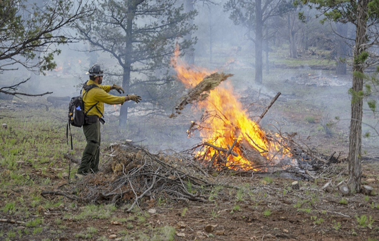 CAL FIRE Enforces Outdoor Burning Suspension in San Diego to Avert Wildfire Risk