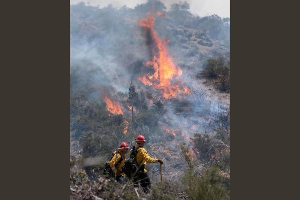 CAL FIRE San Diego Ignites Controlled Burn to Mitigate Wildfire Risk Near Pine Valley