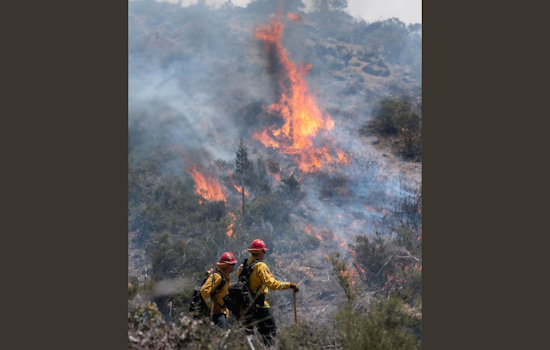 CAL FIRE San Diego Ignites Controlled Burn to Mitigate Wildfire Risk Near Pine Valley