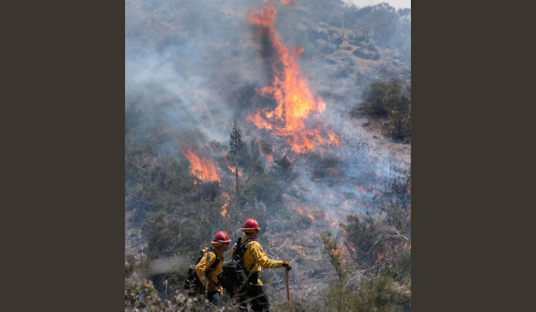 CAL FIRE San Diego Ignites Controlled Burn to Mitigate Wildfire Risk Near Pine Valley