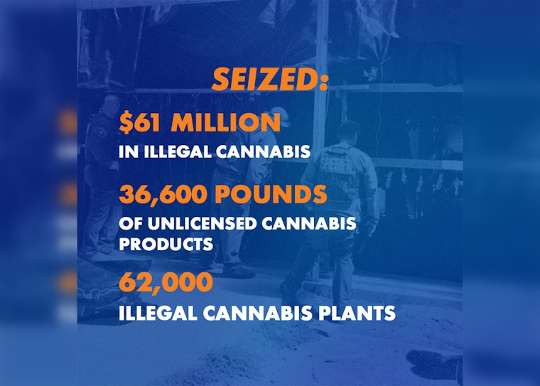 California Nets $61 Million in Illegal Cannabis Products, Escalates Fight Against Black Market Weed