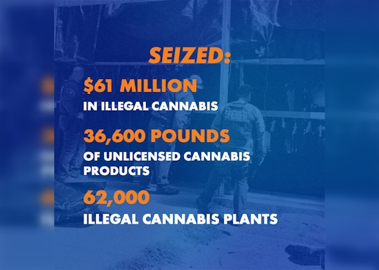 California Nets $61 Million in Illegal Cannabis Products, Escalates Fight Against Black Market Weed