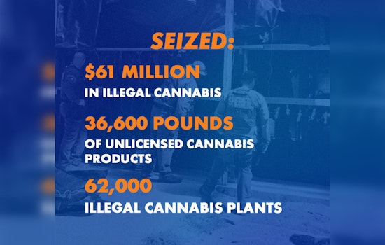 California Nets $61 Million in Illegal Cannabis Products, Escalates Fight Against Black Market Weed