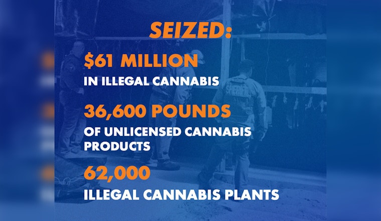 California Nets $61 Million in Illegal Cannabis Products, Escalates Fight Against Black Market Weed