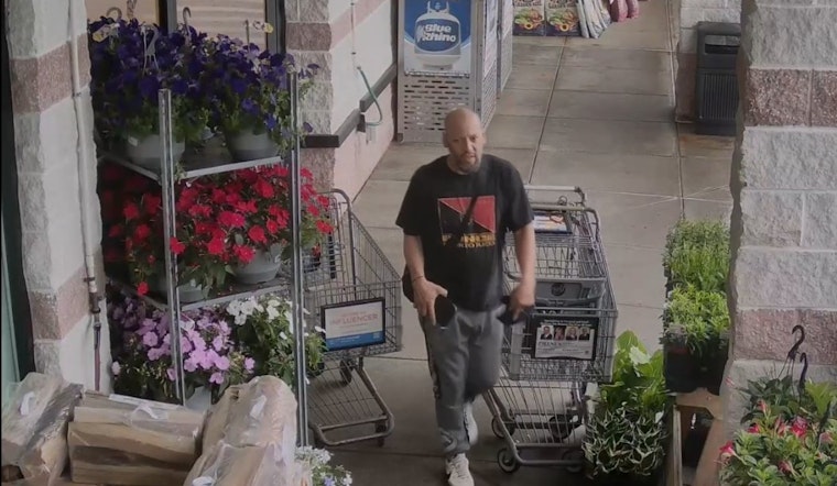 West Springfield Police Seek Public's Aid to Identify Smirking Purse Snatcher Posing as Elderly Woman's Son