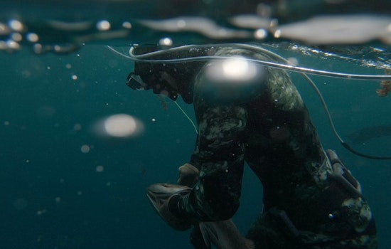 Canadian Man Dies While Spearfishing Near Key West as Investigation Begins
