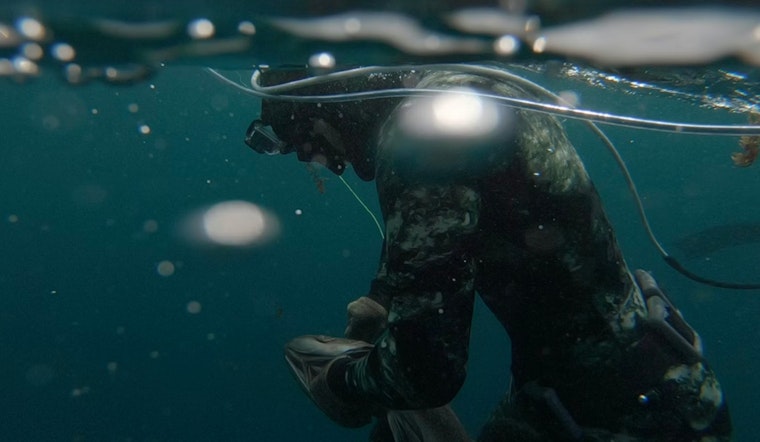 Canadian Man Dies While Spearfishing Near Key West as Investigation Begins