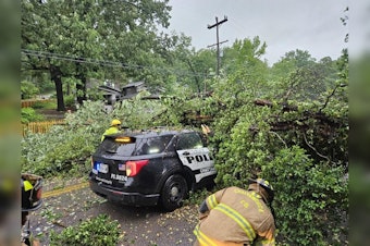 Chattanooga Officer Rescued After Tree Collapses on Patrol Car Amid Severe Weather