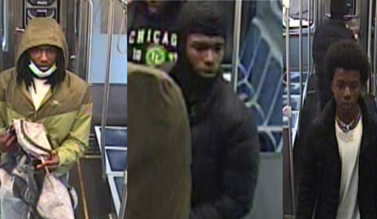 Chicago Police Seek Public's Aid in Identifying Suspect of Daylight Robbery on Red Line