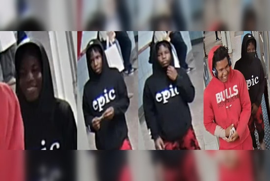 Chicago Police Seek Public's Help in Identifying Suspects in Red Line Train Robbery