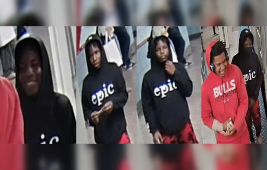 Chicago Police Seek Public's Help in Identifying Suspects in Red Line Train Robbery