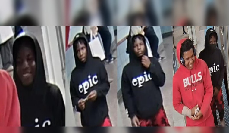 Chicago Police Seek Public's Help in Identifying Suspects in Red Line Train Robbery