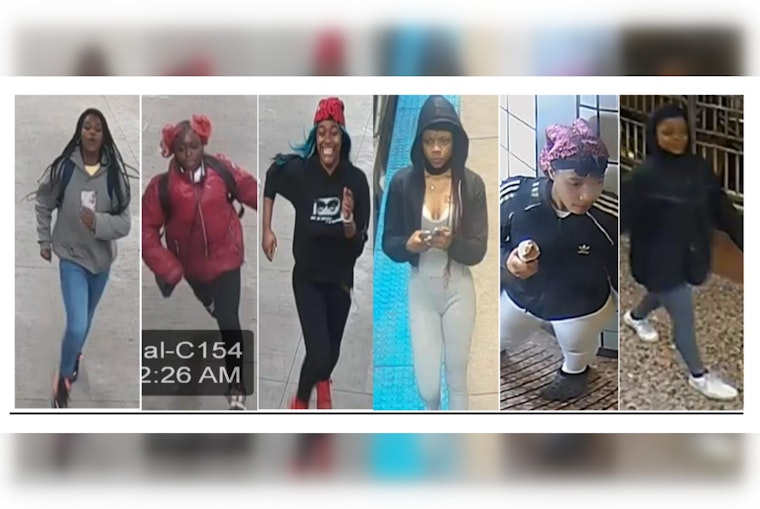 Chicago Police Seek Publics Help To Identify Suspects In Violent 3497