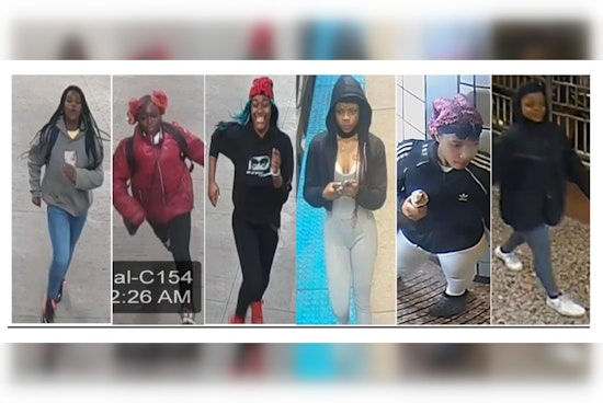 Chicago Police Seek Public's Help to Identify Suspects in Violent Theft Spree on CTA Red Line