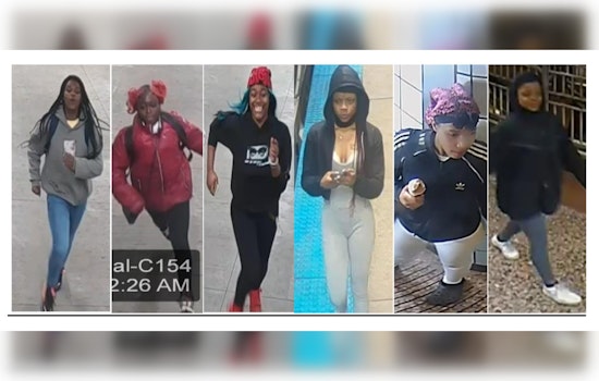 Chicago Police Seek Public's Help to Identify Suspects in Violent Theft Spree on CTA Red Line