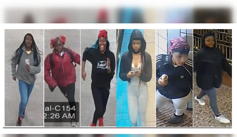 Chicago Police Seek Public's Help to Identify Suspects in Violent Theft Spree on CTA Red Line