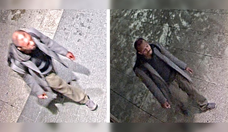 Chicago Police Seek Suspect After Sexual Abuse Incident on Chicago Avenue